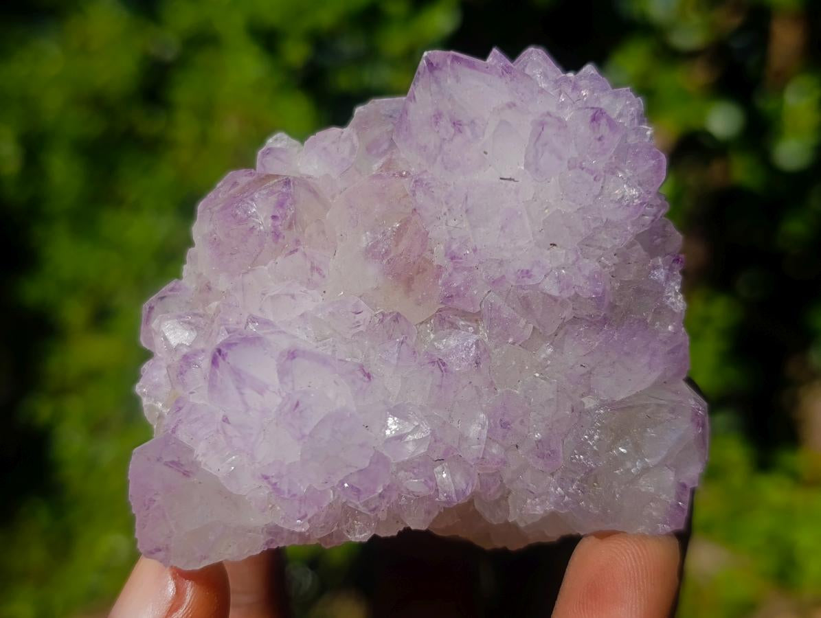 Natural Sunburst Spirit Amethyst Clusters x 6 From Boekenhouthoek, South Africa