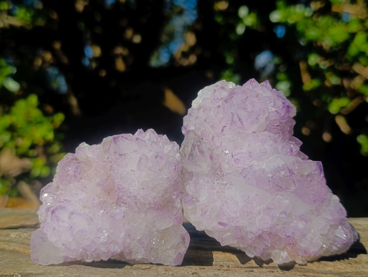 Natural Sunburst Spirit Amethyst Clusters x 6 From Boekenhouthoek, South Africa