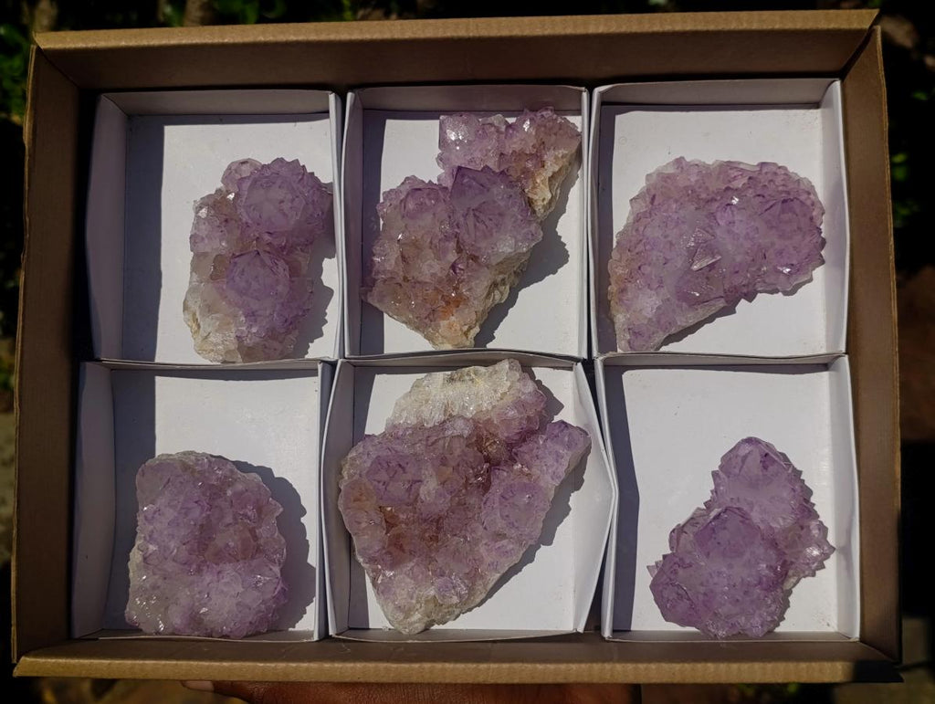 Natural Sunburst Spirit Amethyst Clusters x 6 From Boekenhouthoek, South Africa