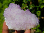 Natural Sunburst Spirit Amethyst Clusters x 6 From Boekenhouthoek, South Africa