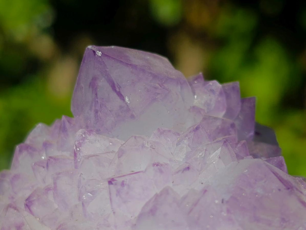 Natural Sunburst Spirit Amethyst Clusters x 6 From Boekenhouthoek, South Africa