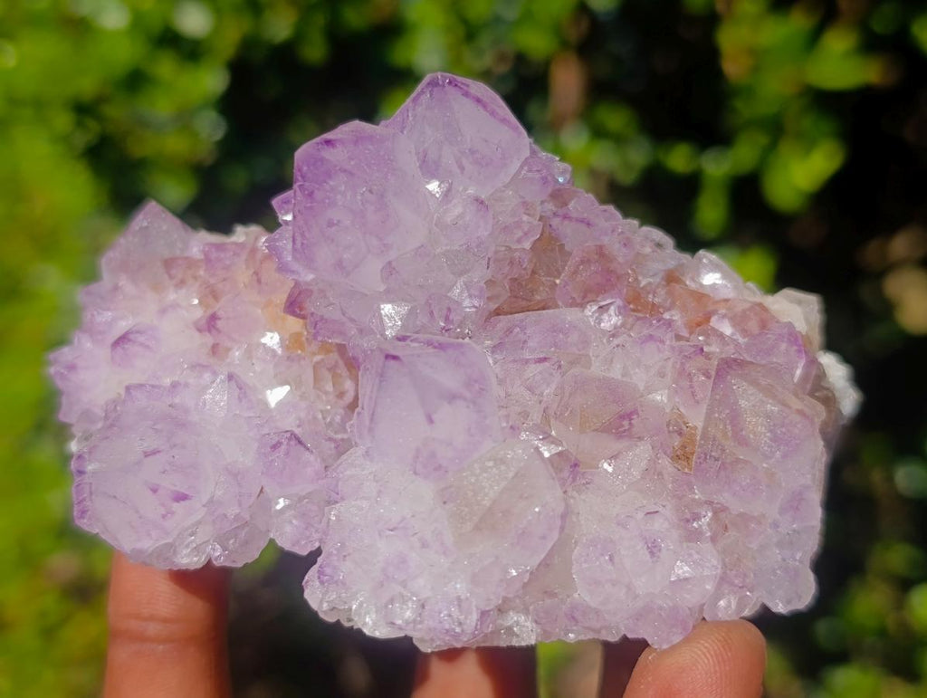 Natural Sunburst Spirit Amethyst Clusters x 6 From Boekenhouthoek, South Africa