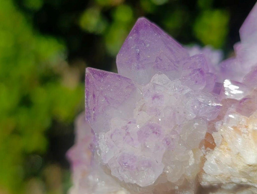 Natural Sunburst Spirit Amethyst Clusters x 6 From Boekenhouthoek, South Africa