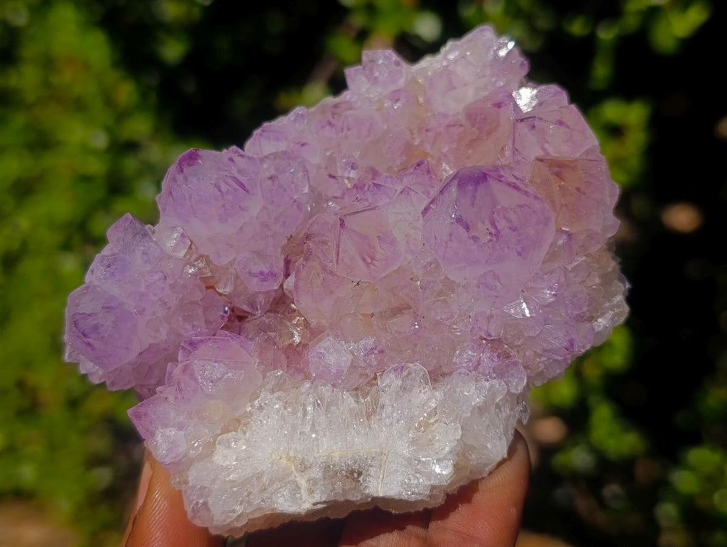 Natural Sunburst Spirit Amethyst Clusters x 6 From Boekenhouthoek, South Africa
