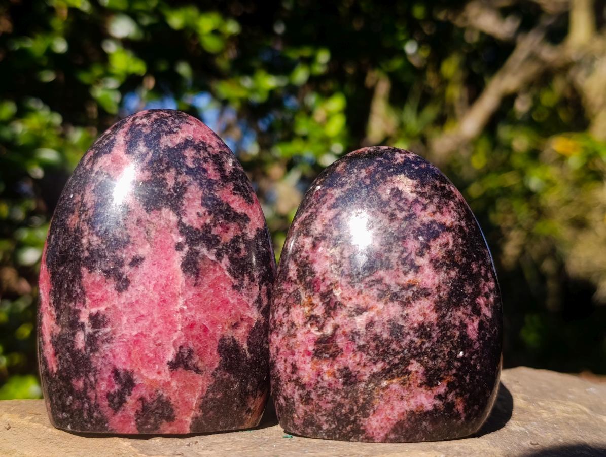 Polished Rhodonite Standing Display Pieces x 6 From Ambindavato, Madagascar