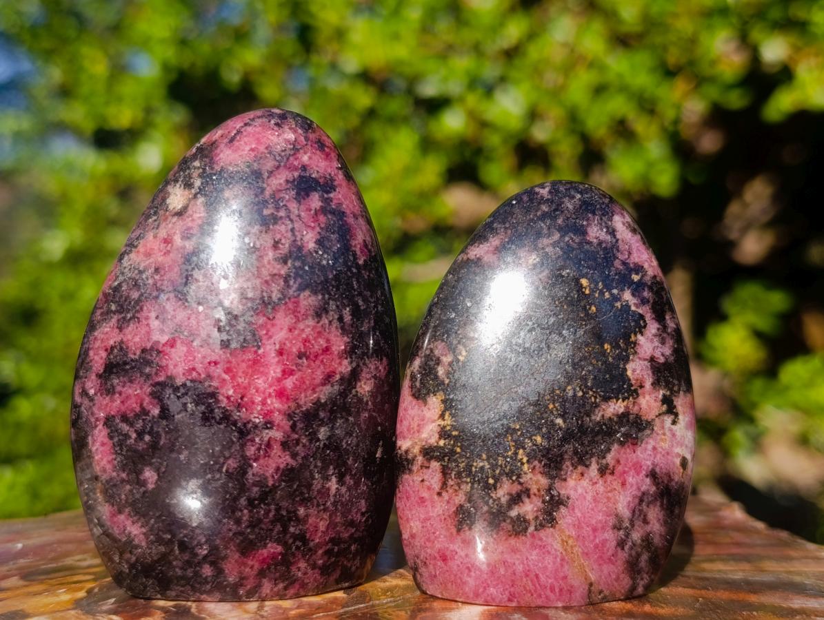 Polished Rhodonite Standing Display Pieces x 6 From Ambindavato, Madagascar