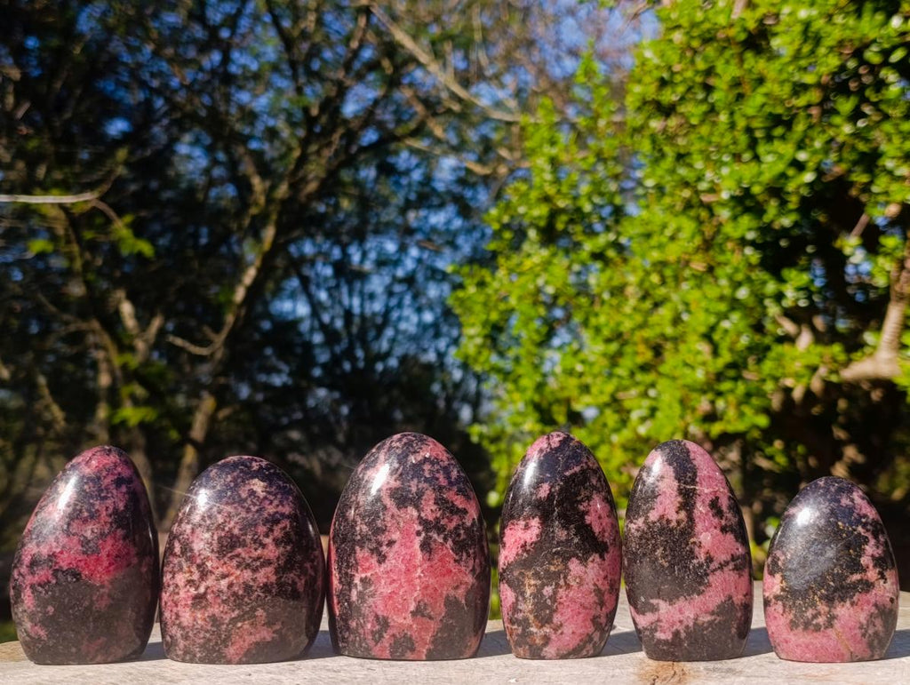 Polished Rhodonite Standing Display Pieces x 6 From Ambindavato, Madagascar