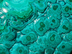 Polished Malacolla Free Forms x 4 From Kulukuluku, Congo