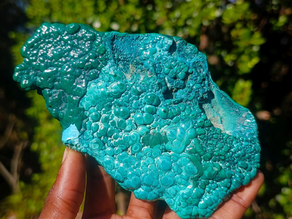 Polished Malacolla Free Forms x 4 From Kulukuluku, Congo
