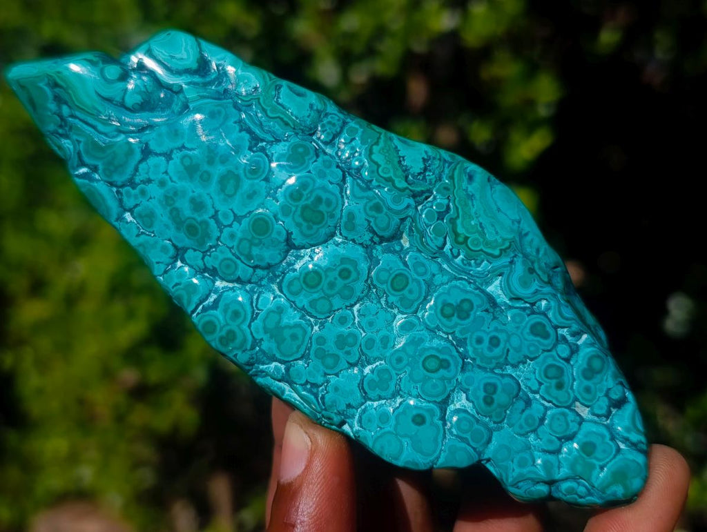 Polished Malacolla Free Forms x 4 From Kulukuluku, Congo