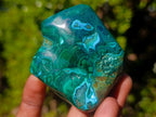 Polished Malacolla Free Forms x 4 From Kulukuluku, Congo