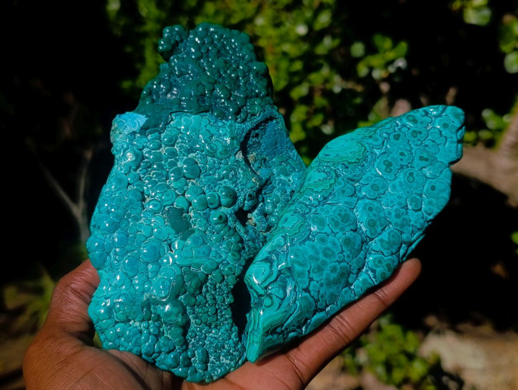 Polished Malacolla Free Forms x 4 From Kulukuluku, Congo
