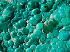 Polished Malacolla Free Forms x 4 From Kulukuluku, Congo