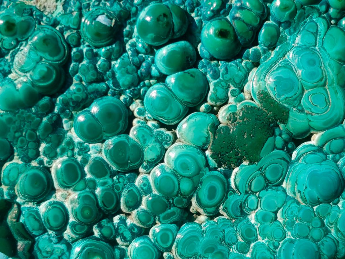 Polished Malacolla Free Forms x 4 From Kulukuluku, Congo