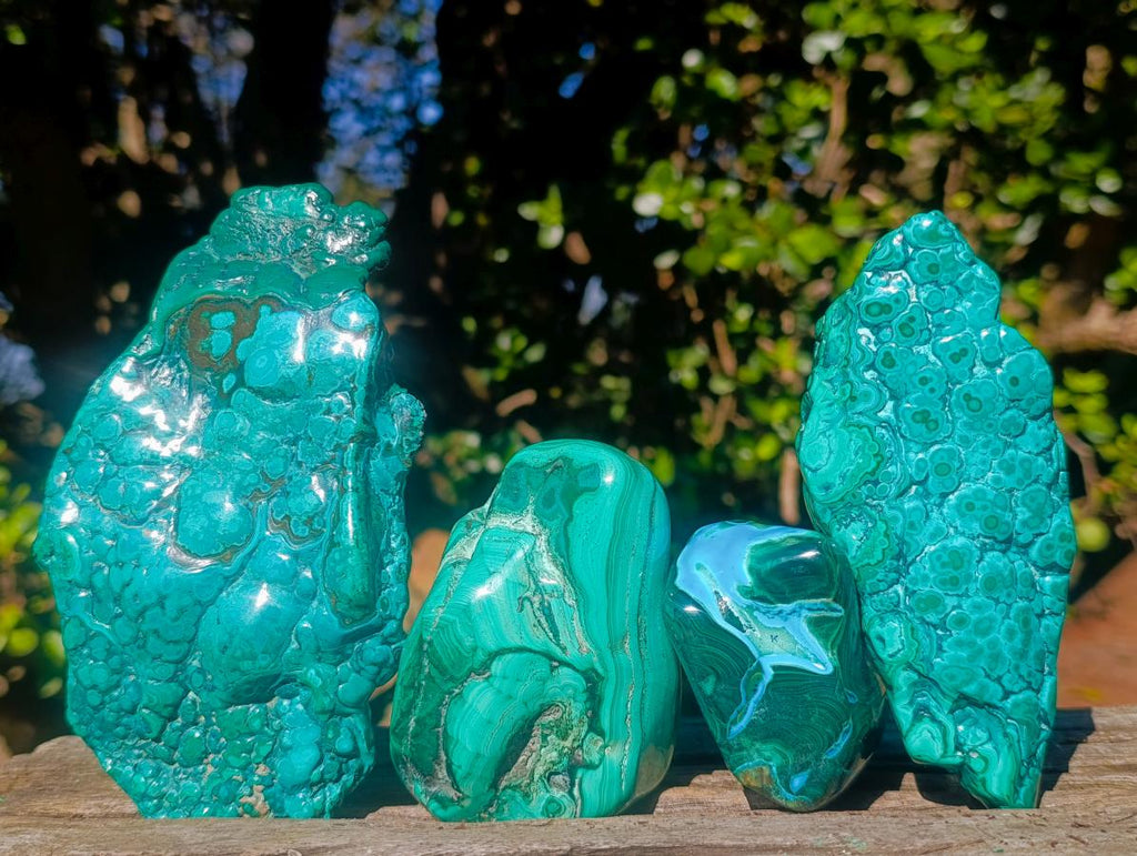 Polished Malacolla Free Forms x 4 From Kulukuluku, Congo