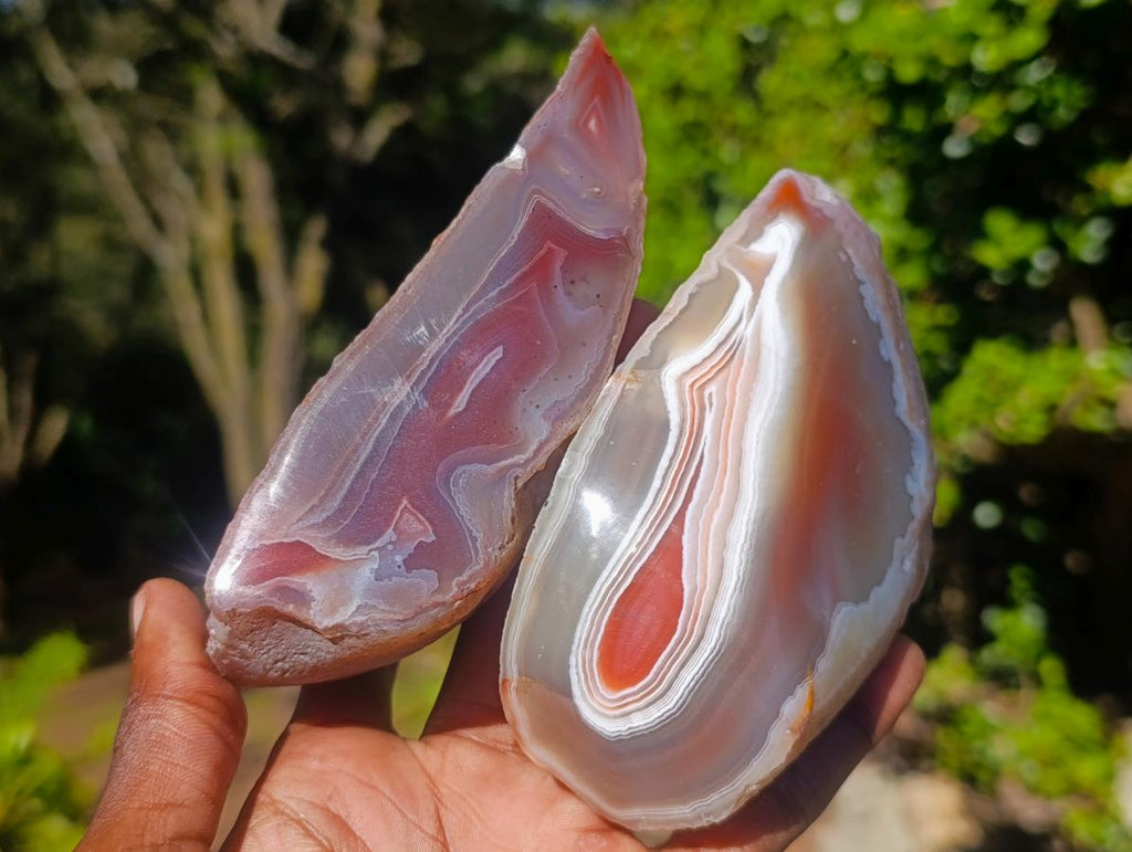 Polished Mix of Red Shashe River Agate Pieces x 6 From Shashe River, Zimbabwe - Toprock Gemstones and Minerals 