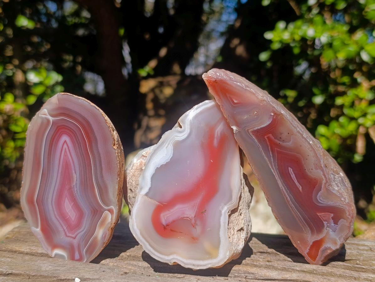 Polished Mix of Red Shashe River Agate Pieces x 6 From Shashe River, Zimbabwe - Toprock Gemstones and Minerals 