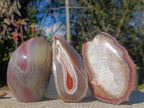 Polished Mix of Red Shashe River Agate Pieces x 6 From Shashe River, Zimbabwe - Toprock Gemstones and Minerals 
