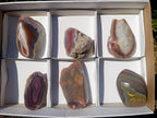 Polished Mix of Red Shashe River Agate Pieces x 6 From Shashe River, Zimbabwe - Toprock Gemstones and Minerals 