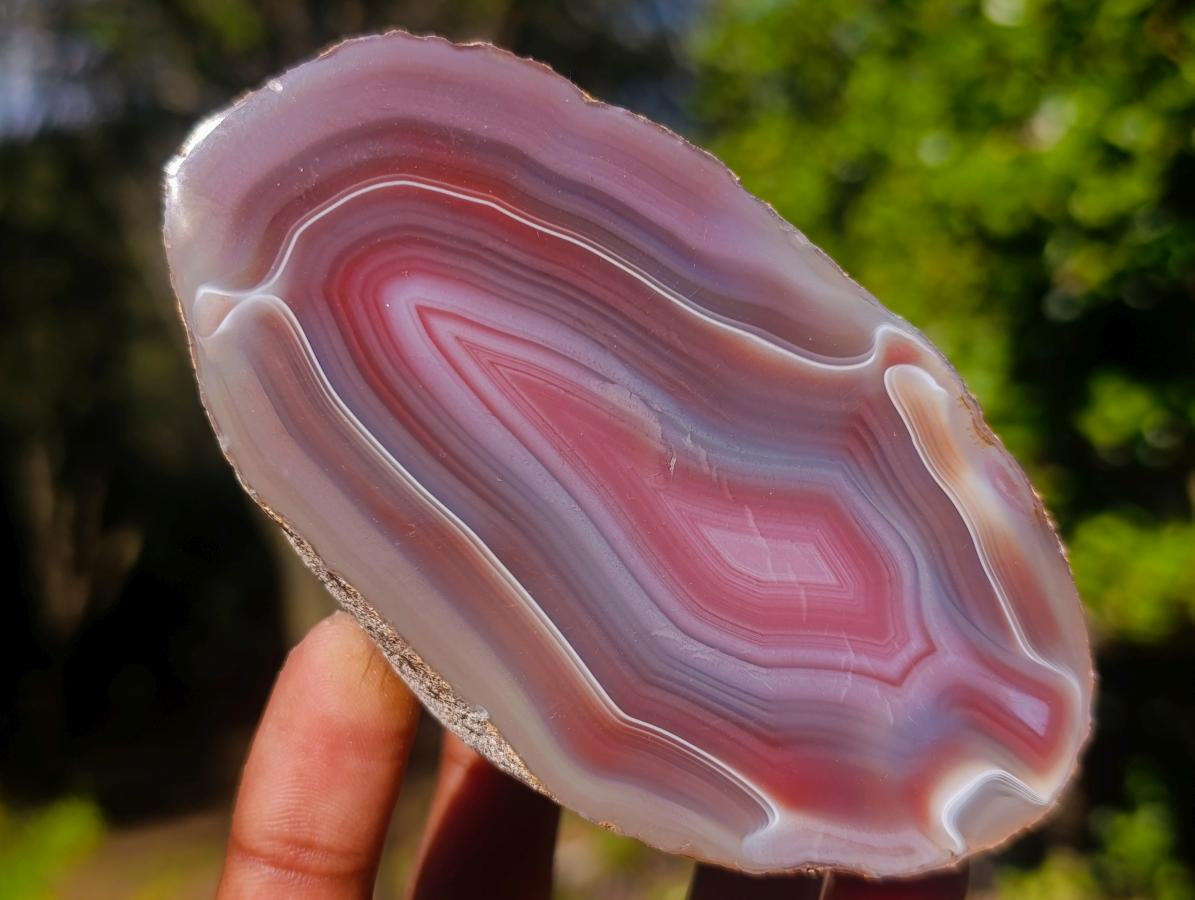 Polished Mix of Red Shashe River Agate Pieces x 6 From Shashe River, Zimbabwe