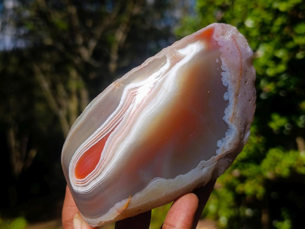 Polished Mix of Red Shashe River Agate Pieces x 6 From Shashe River, Zimbabwe - Toprock Gemstones and Minerals 