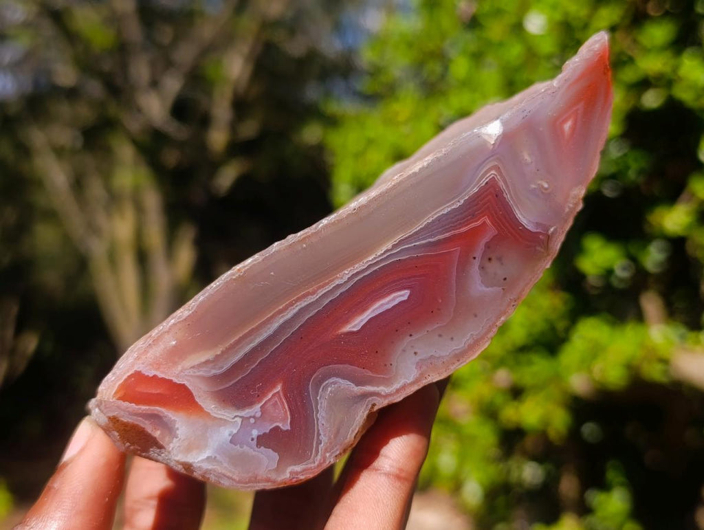 Polished Mix of Red Shashe River Agate Pieces x 6 From Shashe River, Zimbabwe - Toprock Gemstones and Minerals 