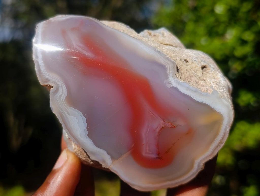 Polished Mix of Red Shashe River Agate Pieces x 6 From Shashe River, Zimbabwe - Toprock Gemstones and Minerals 