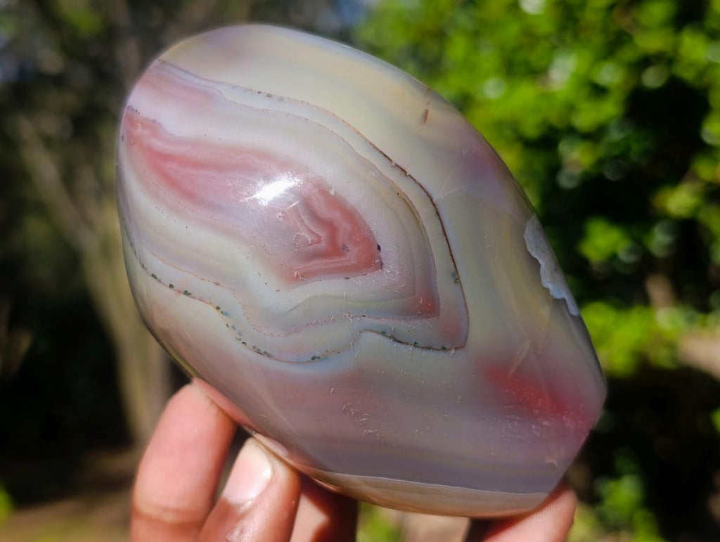 Polished Mix of Red Shashe River Agate Pieces x 6 From Shashe River, Zimbabwe - Toprock Gemstones and Minerals 