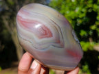 Polished Mix of Red Shashe River Agate Pieces x 6 From Shashe River, Zimbabwe - Toprock Gemstones and Minerals 