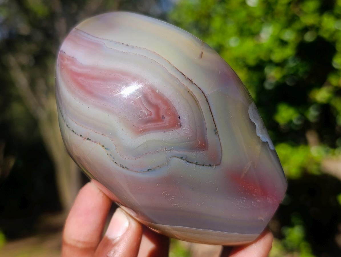 Polished Mix of Red Shashe River Agate Pieces x 6 From Shashe River, Zimbabwe - Toprock Gemstones and Minerals 