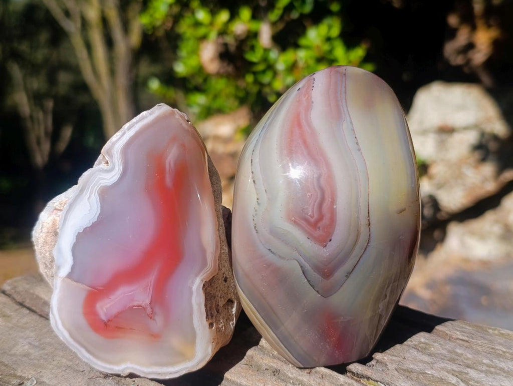 Polished Mix of Red Shashe River Agate Pieces x 6 From Shashe River, Zimbabwe - Toprock Gemstones and Minerals 