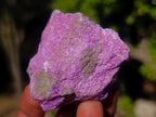 Natural Cobbed Stichtite Specimens x 35 From Barberton, South Africa