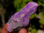 Natural Cobbed Stichtite Specimens x 35 From Barberton, South Africa