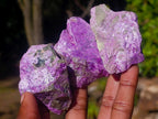 Natural Cobbed Stichtite Specimens x 35 From Barberton, South Africa