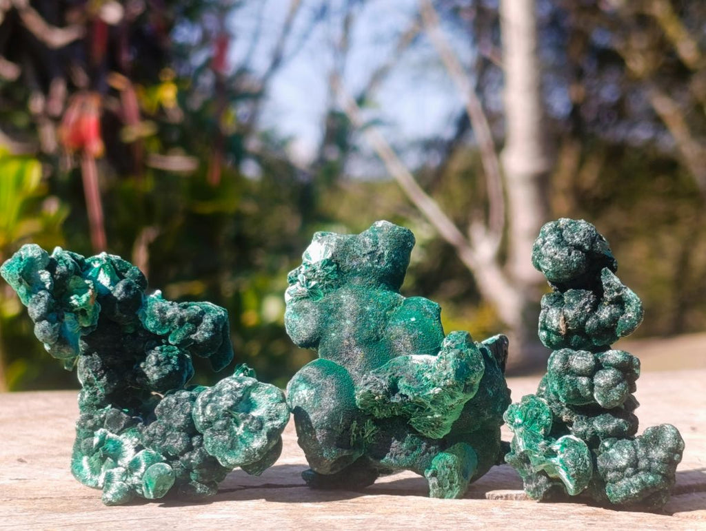 Natural Silky Malachite Specimens x 24 From Kasompe, Congo