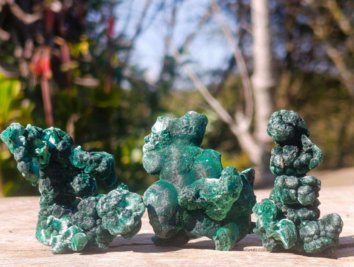 Natural Silky Malachite Specimens x 24 From Kasompe, Congo