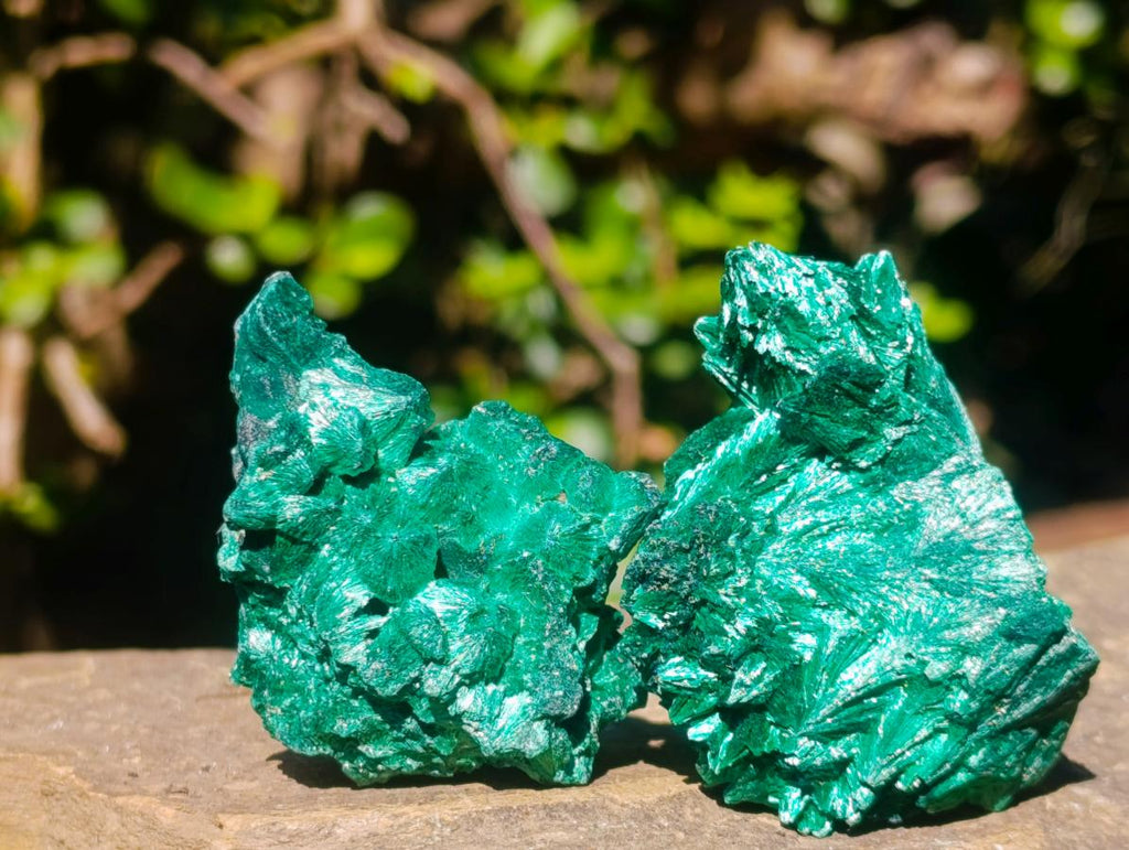 Natural Silky Malachite Specimens x 24 From Kasompe, Congo