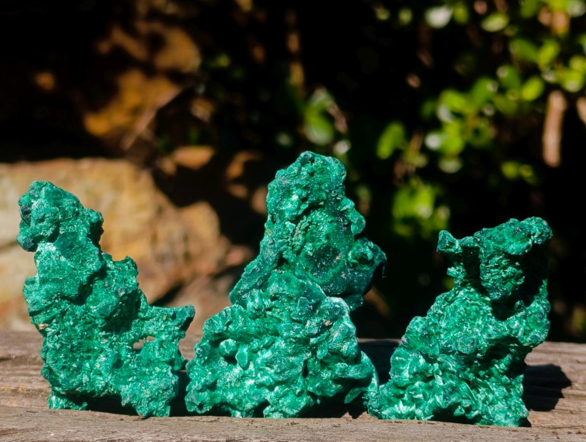 Natural Silky Malachite Specimens x 24 From Kasompe, Congo