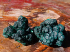 Natural Silky Malachite Specimens x 24 From Kasompe, Congo