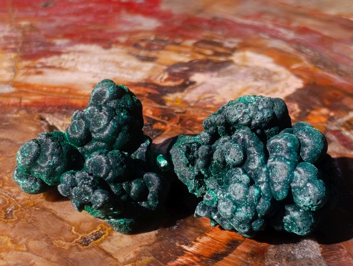 Natural Silky Malachite Specimens x 24 From Kasompe, Congo