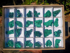 Natural Silky Malachite Specimens x 24 From Kasompe, Congo
