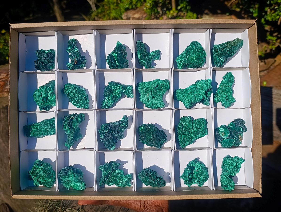 Natural Silky Malachite Specimens x 24 From Kasompe, Congo
