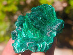 Natural Silky Malachite Specimens x 24 From Kasompe, Congo