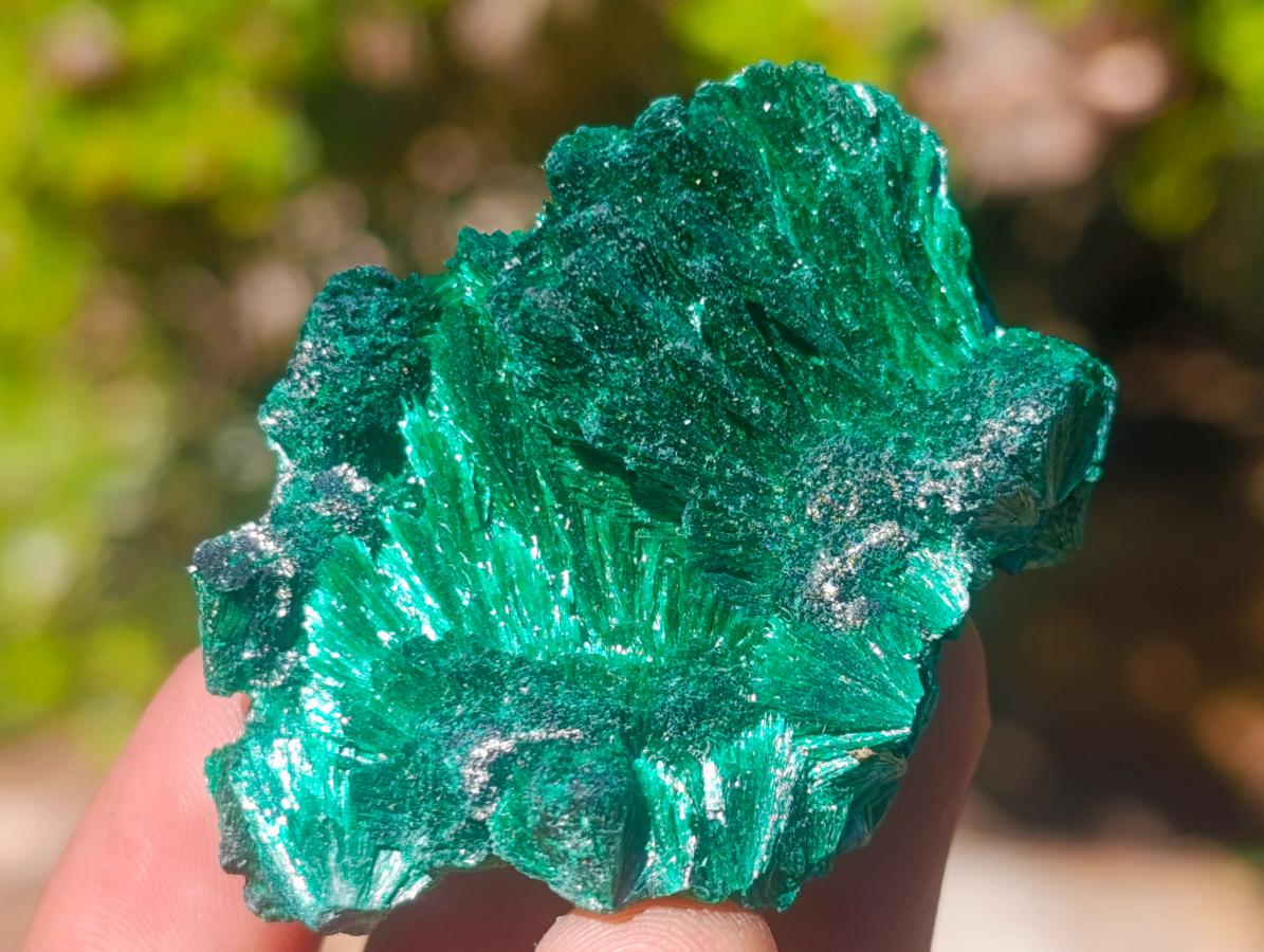 Natural Silky Malachite Specimens x 24 From Kasompe, Congo