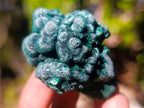 Natural Silky Malachite Specimens x 24 From Kasompe, Congo