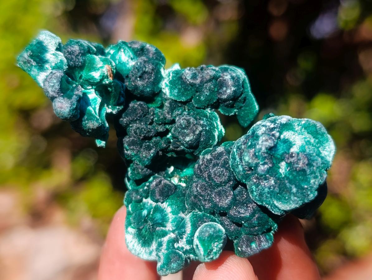 Natural Silky Malachite Specimens x 24 From Kasompe, Congo