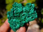 Natural Silky Malachite Specimens x 24 From Kasompe, Congo