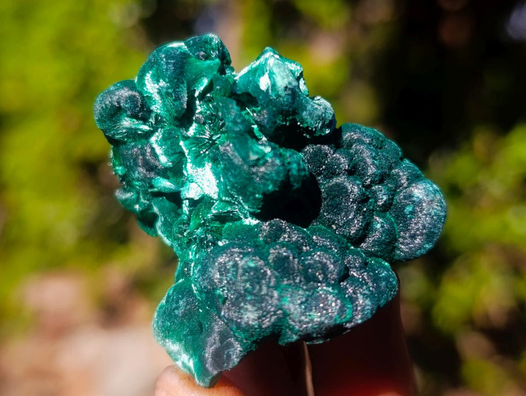 Natural Silky Malachite Specimens x 24 From Kasompe, Congo