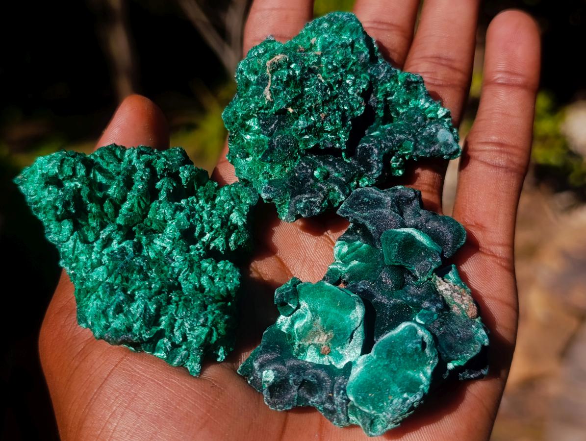 Natural Silky Malachite Specimens x 24 From Kasompe, Congo