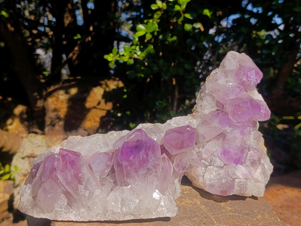 Natural Jacaranda Amethyst Crystal Clusters x 2 From Mumbwa, Zambia - Toprock Gemstones and Minerals 